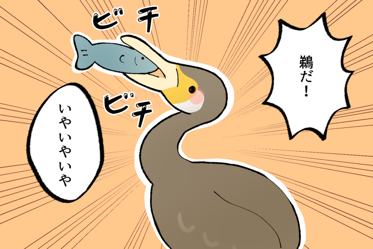 六郎太「鵜だ！」めもりちゃん「いやいやいや」※鵜は、ウ科の鳥の総称だよ。